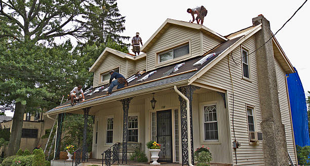 Best Storm Damage Roof Repair  in Isanti, MN